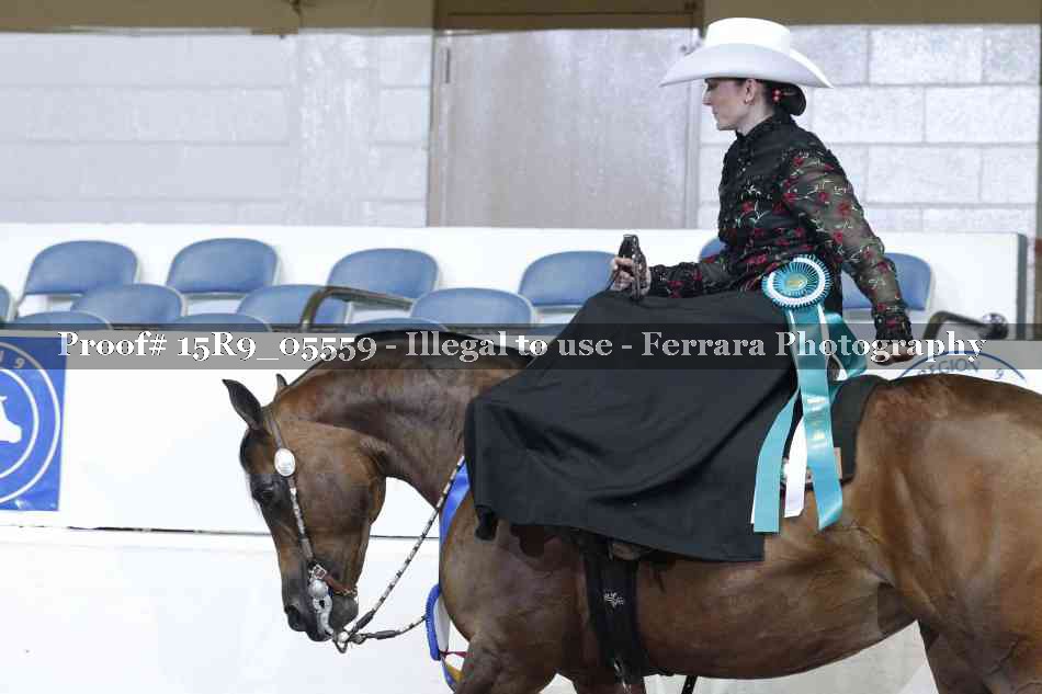 Proof Number 15R9_05559