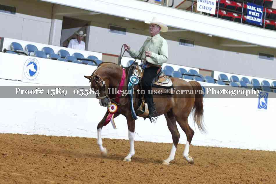 Proof Number 15R9_05584