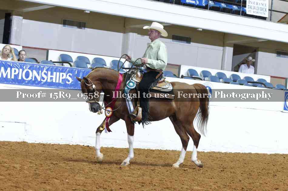 Proof Number 15R9_05587