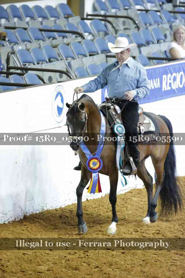 Proof Number 15R9_05590