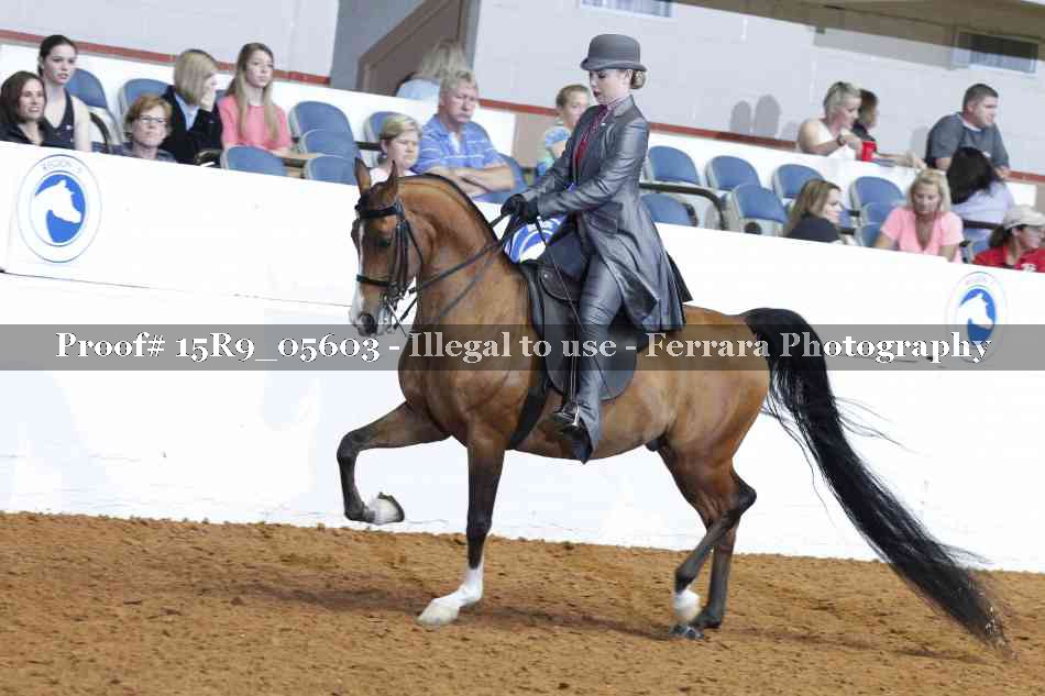 Proof Number 15R9_05603