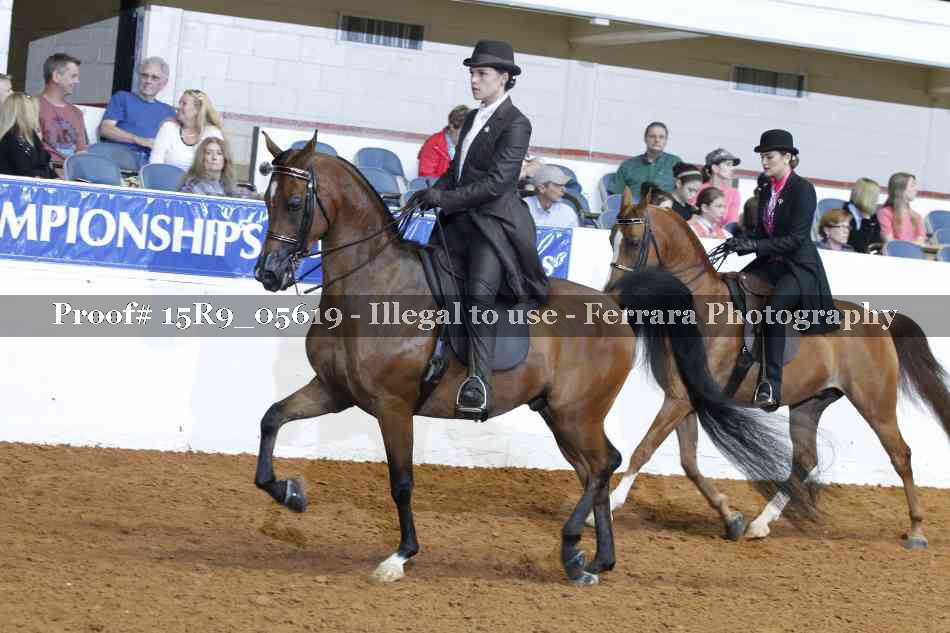 Proof Number 15R9_05619