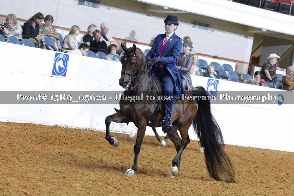Proof Number 15R9_05622