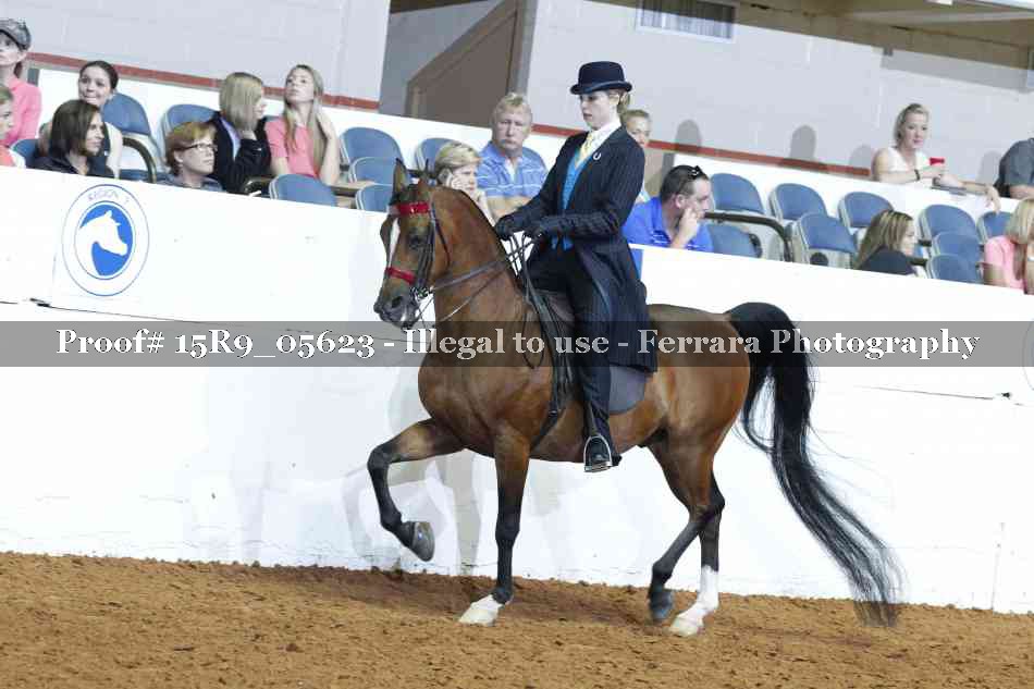Proof Number 15R9_05623