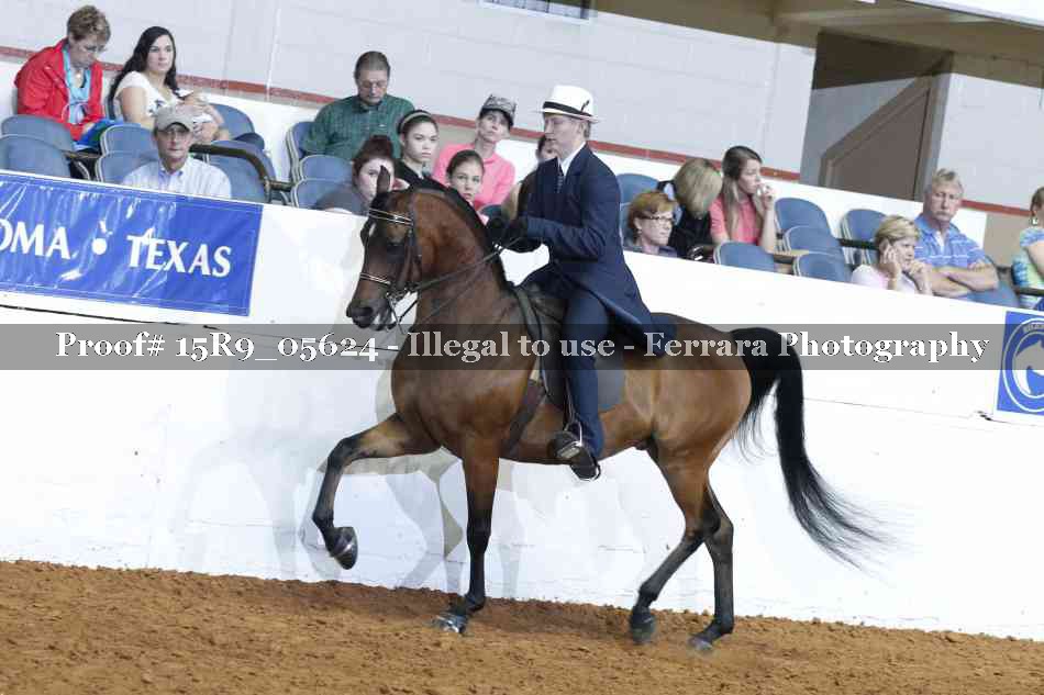 Proof Number 15R9_05624