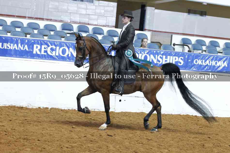 Proof Number 15R9_05628