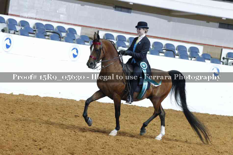 Proof Number 15R9_05630