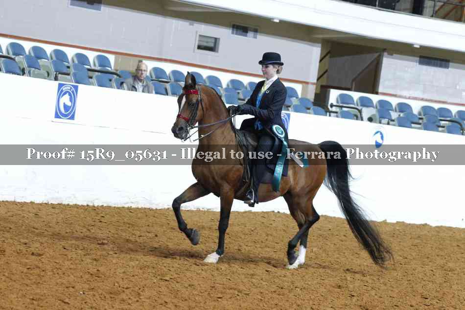 Proof Number 15R9_05631