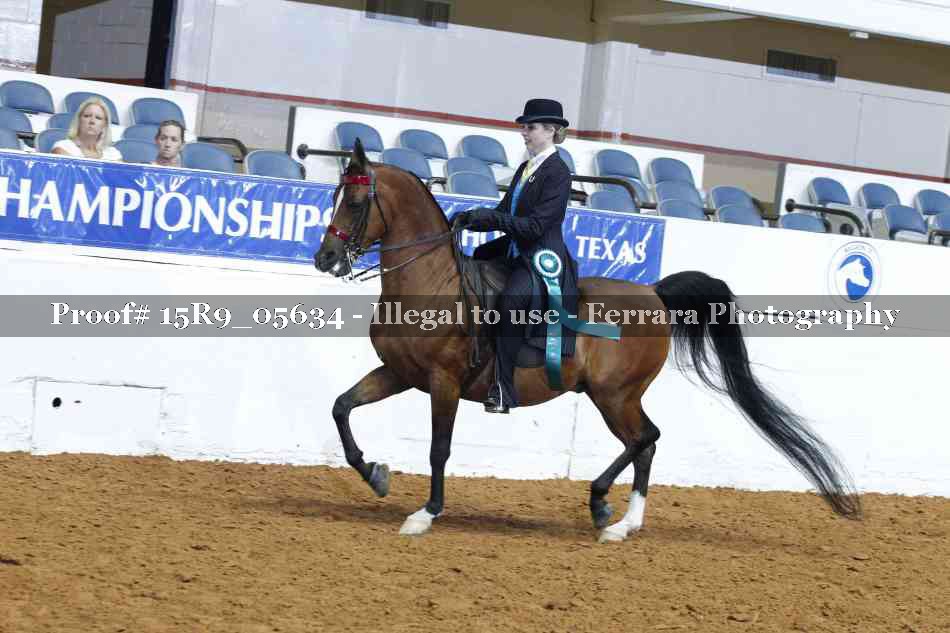 Proof Number 15R9_05634