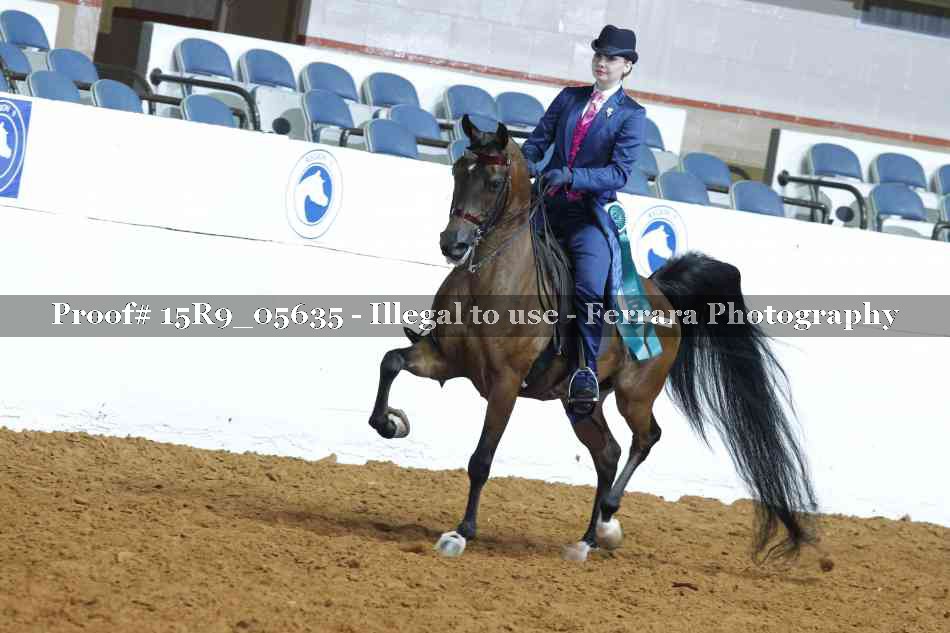 Proof Number 15R9_05635