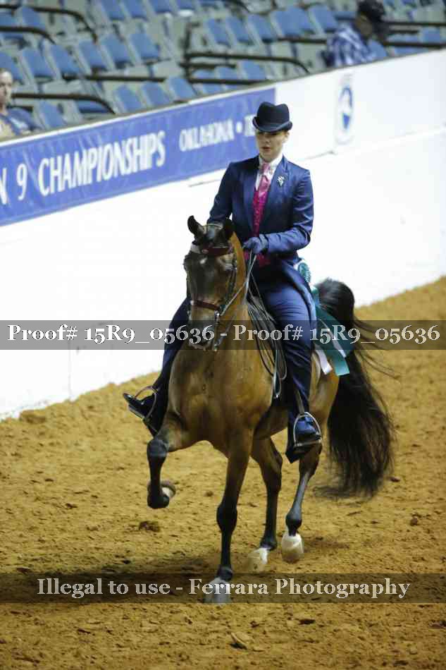 Proof Number 15R9_05636