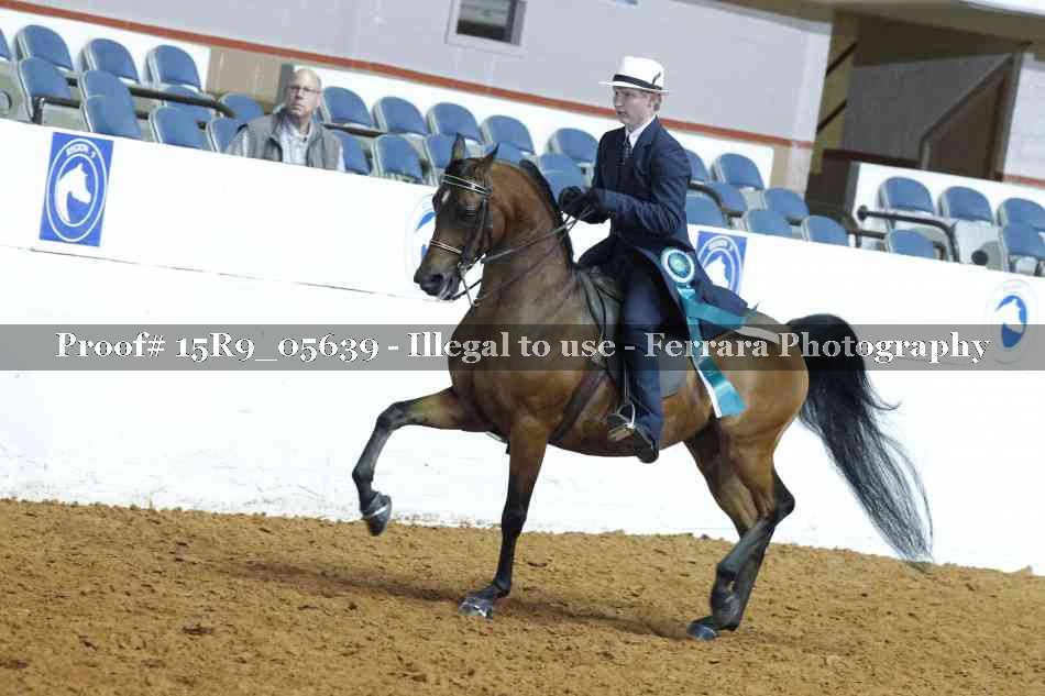 Proof Number 15R9_05639