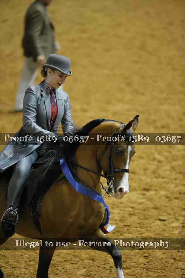Proof Number 15R9_05657