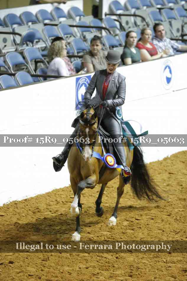 Proof Number 15R9_05663