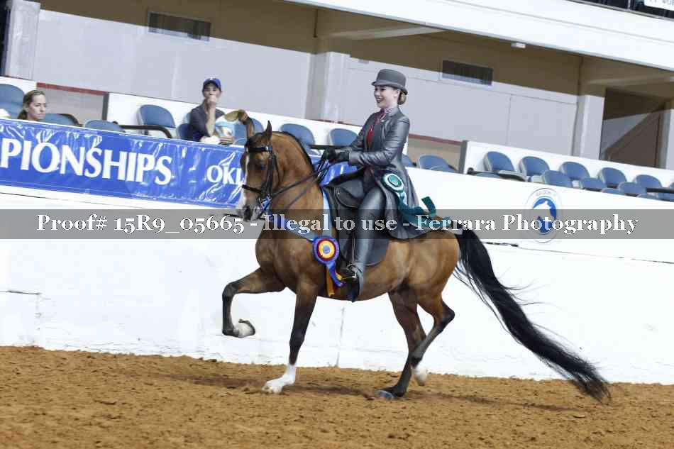 Proof Number 15R9_05665