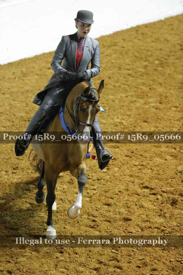 Proof Number 15R9_05666