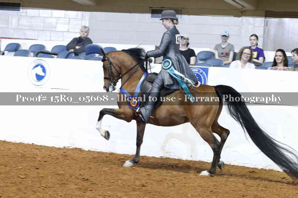 Proof Number 15R9_05668