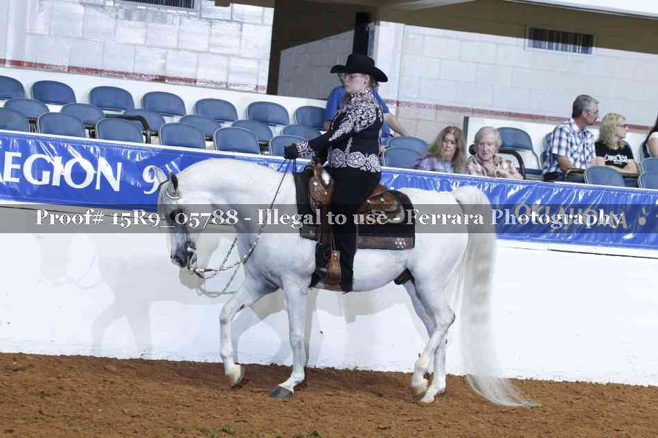 Proof Number 15R9_05788