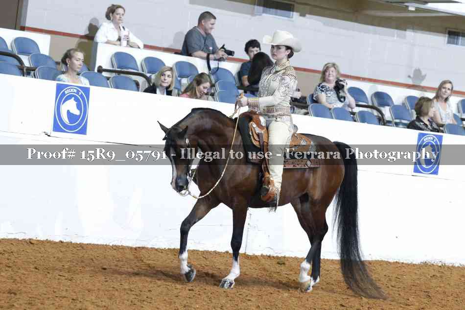 Proof Number 15R9_05791