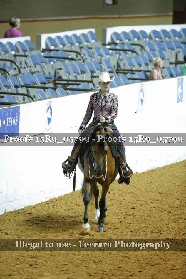 Proof Number 15R9_05799