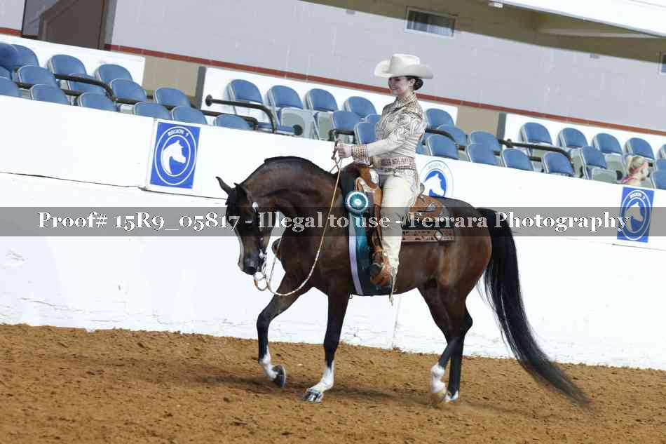 Proof Number 15R9_05817