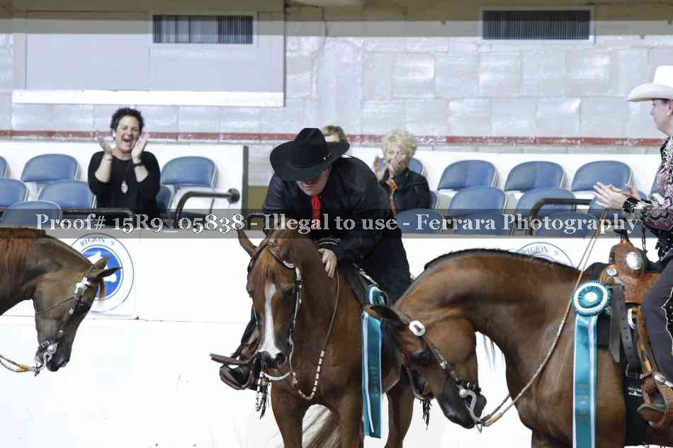 Proof Number 15R9_05838