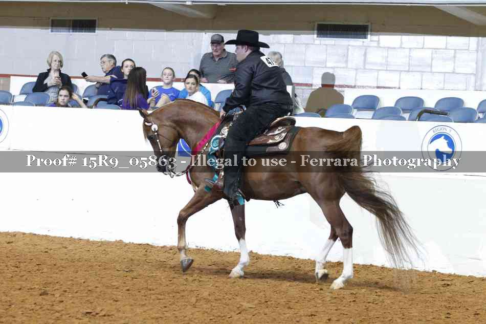 Proof Number 15R9_05863