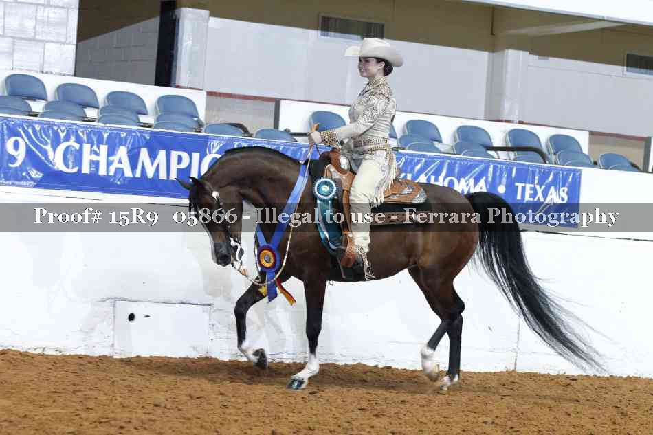 Proof Number 15R9_05866
