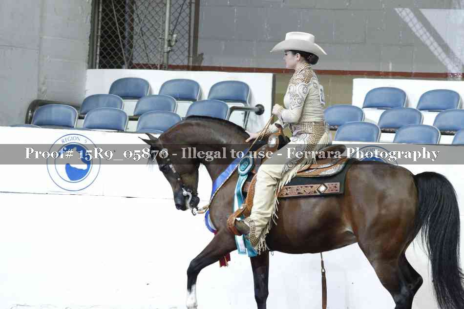 Proof Number 15R9_05870