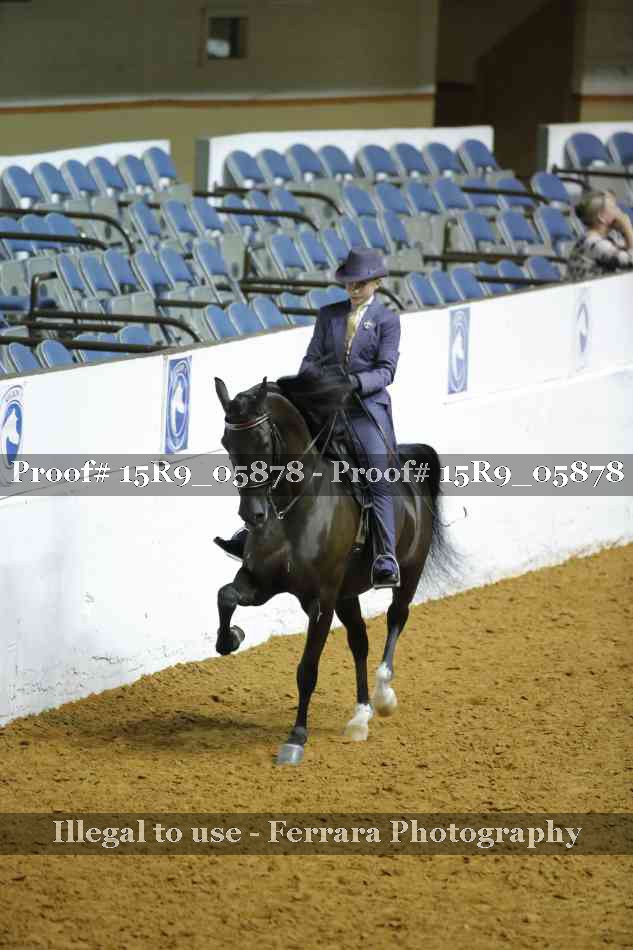 Proof Number 15R9_05878