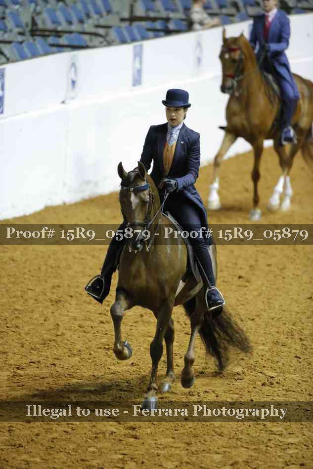 Proof Number 15R9_05879
