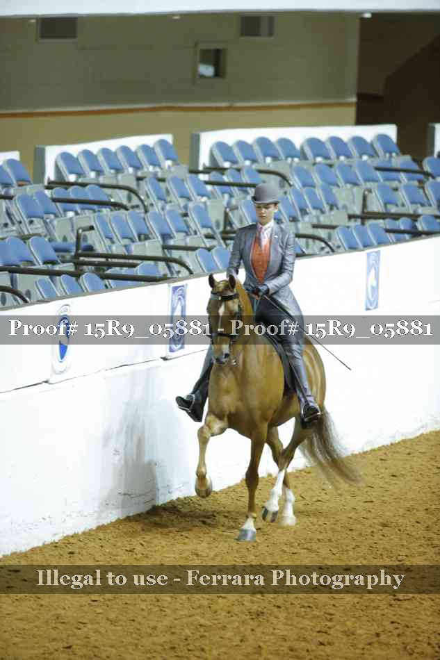 Proof Number 15R9_05881
