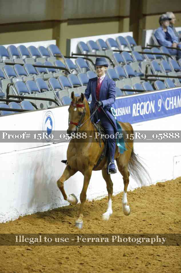 Proof Number 15R9_05888