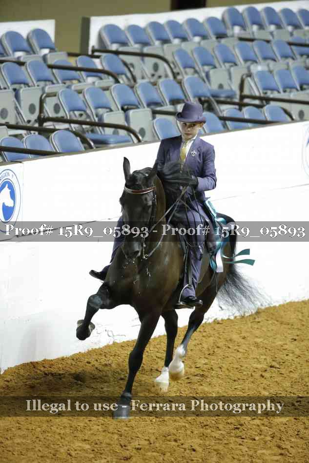 Proof Number 15R9_05893