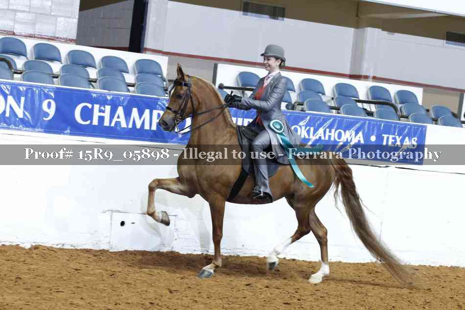 Proof Number 15R9_05898