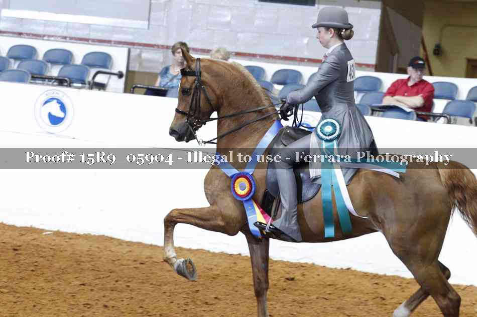 Proof Number 15R9_05904