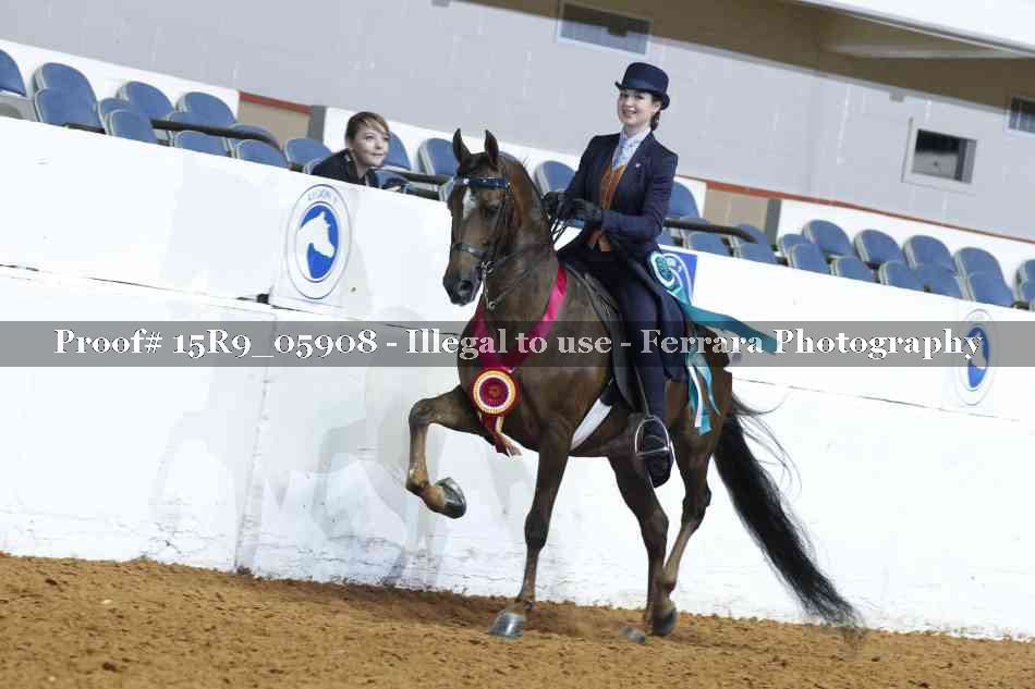 Proof Number 15R9_05908