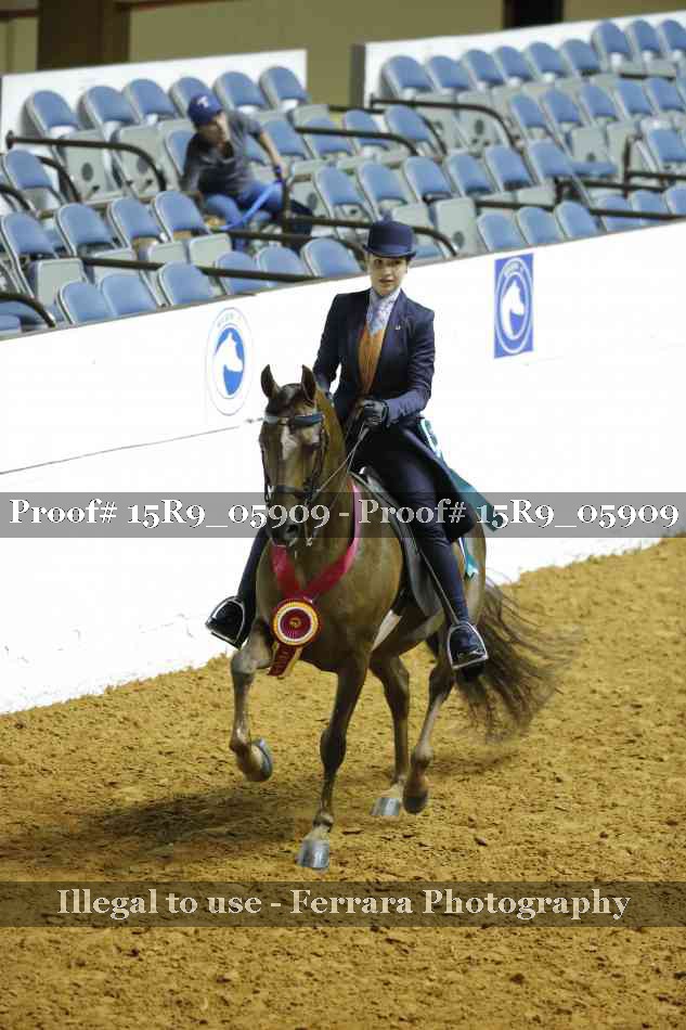 Proof Number 15R9_05909