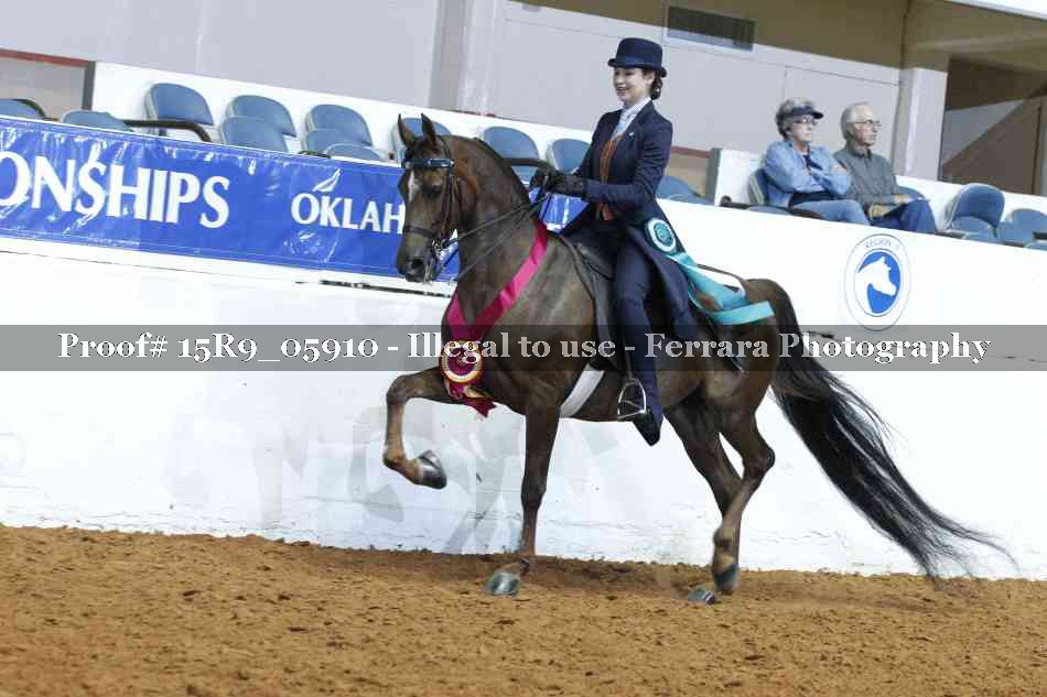 Proof Number 15R9_05910