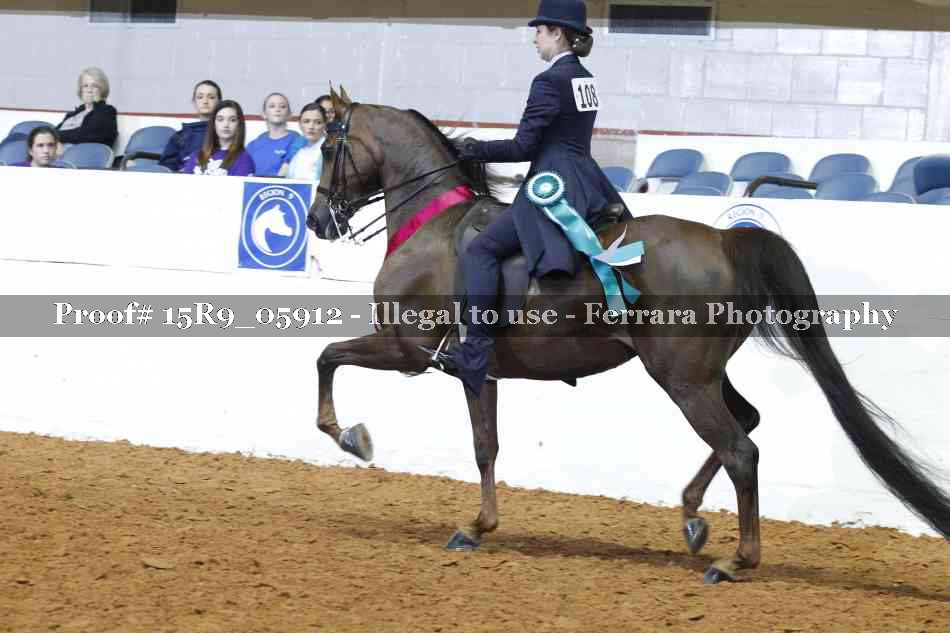 Proof Number 15R9_05912