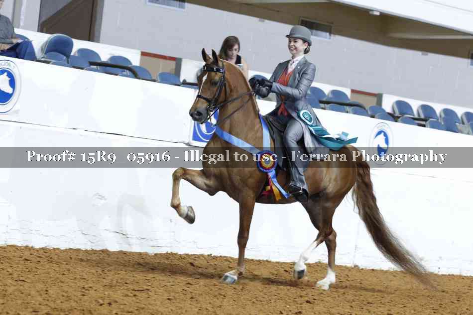 Proof Number 15R9_05916
