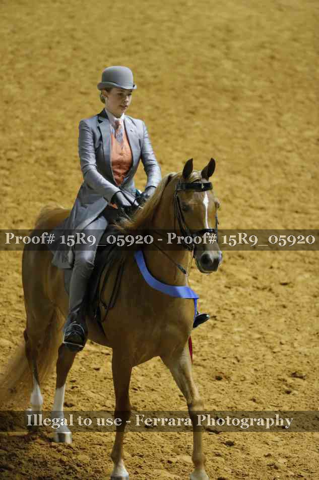 Proof Number 15R9_05920