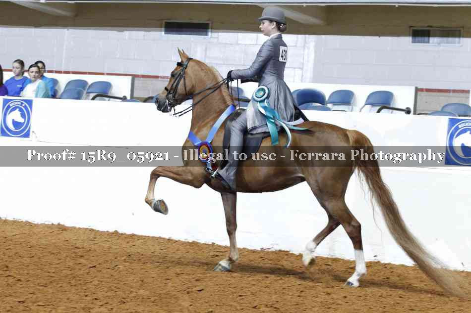 Proof Number 15R9_05921