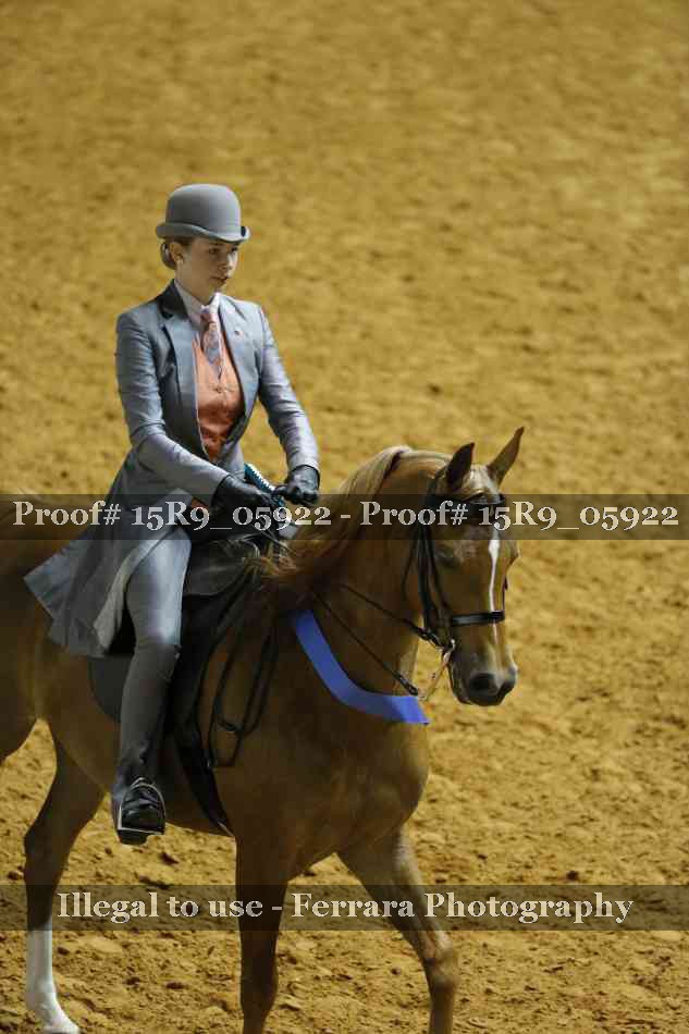 Proof Number 15R9_05922
