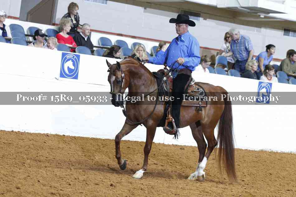 Proof Number 15R9_05933