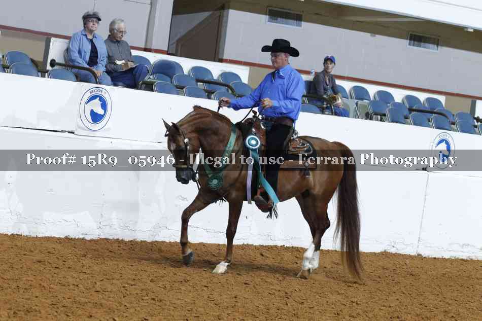 Proof Number 15R9_05946