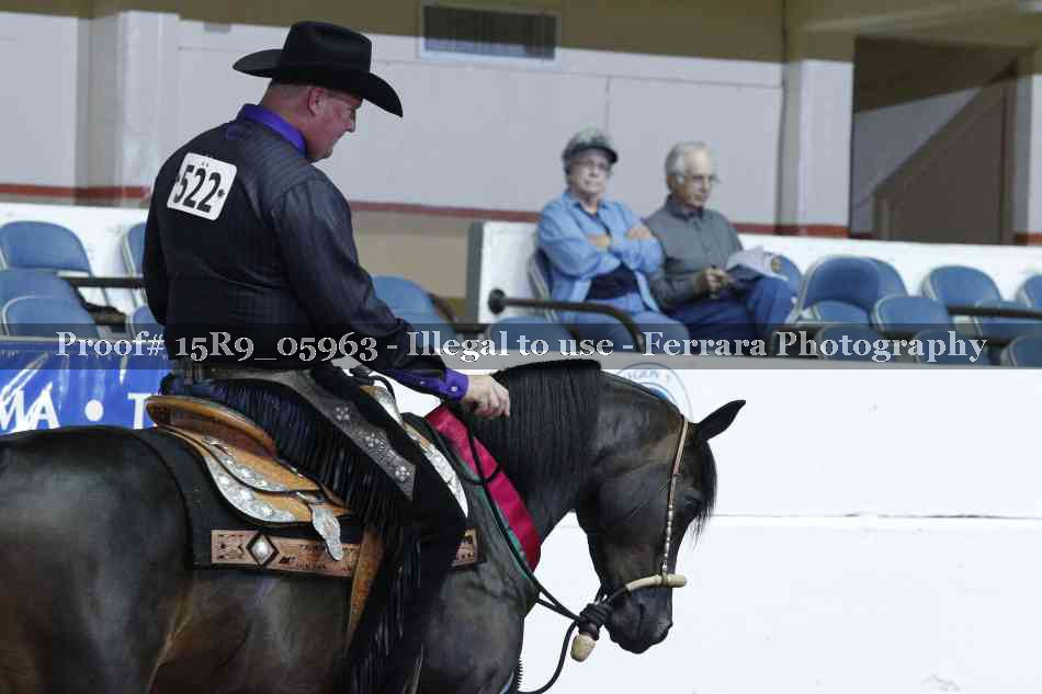 Proof Number 15R9_05963