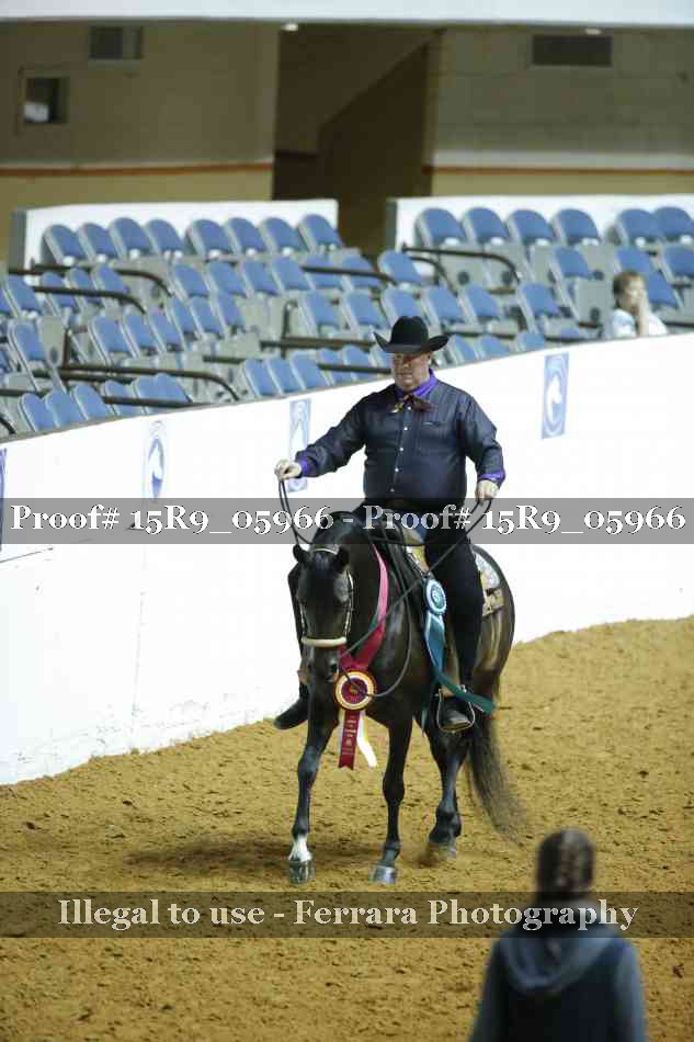Proof Number 15R9_05966