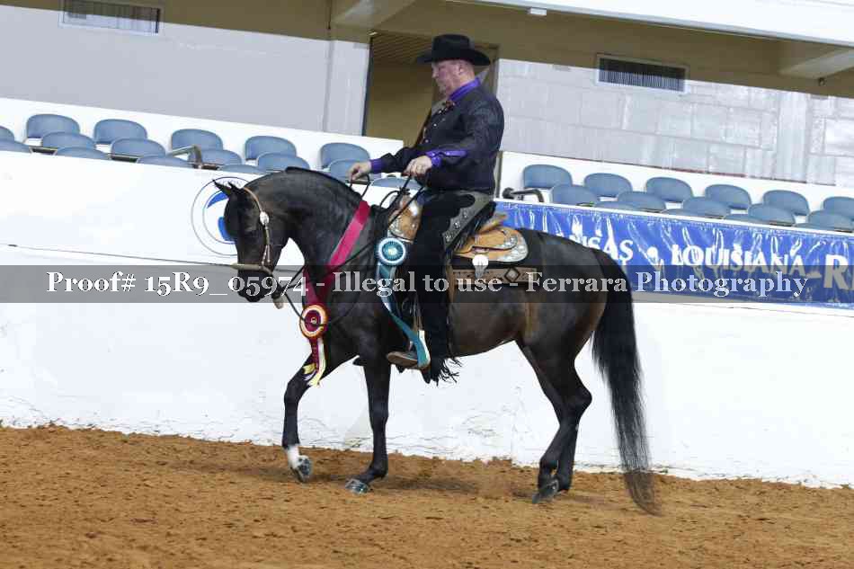 Proof Number 15R9_05974