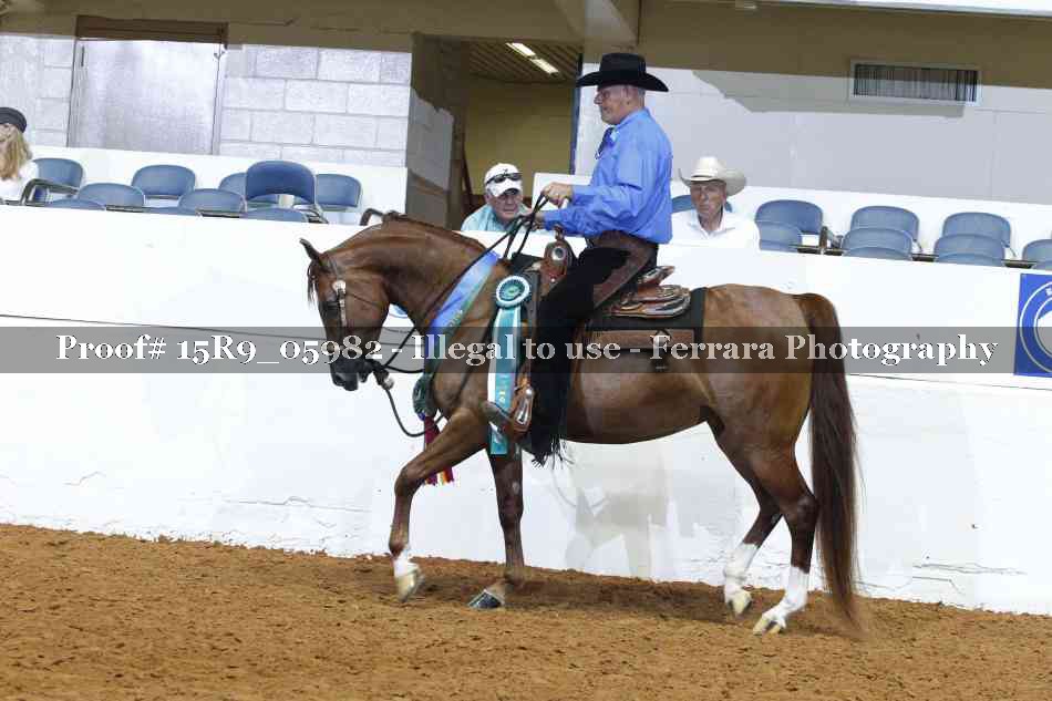 Proof Number 15R9_05982